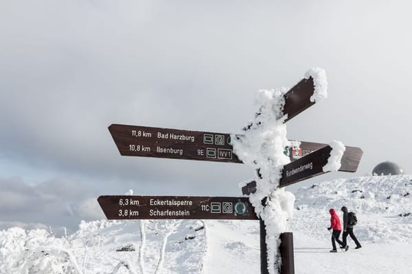 Der Harz im Hochsommer: Wandern, wenn die Küste zu voll wird