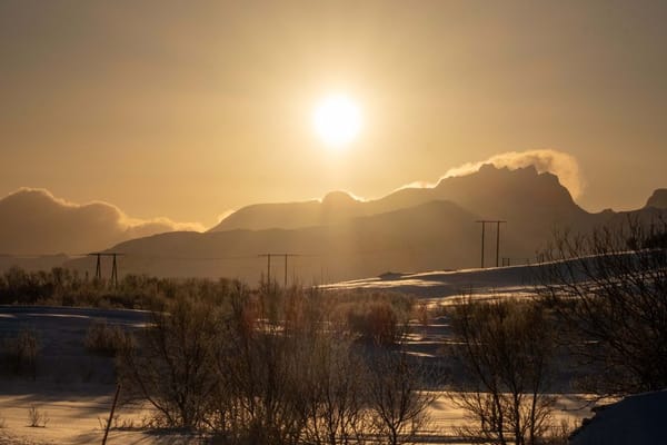 Ein Roadtrip auf den Lofoten: Licht, das nicht aufhört