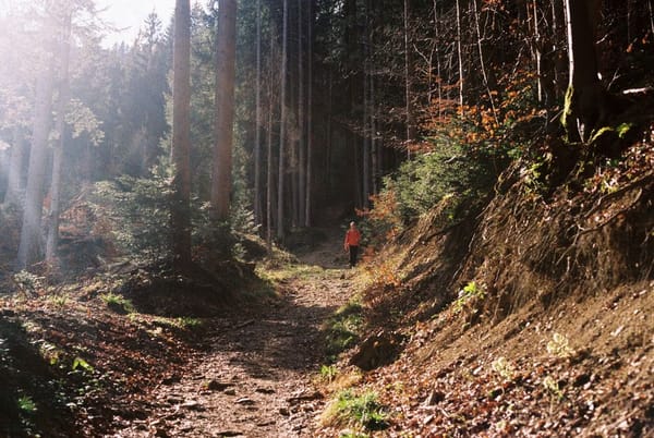 Ein Wanderwochenende im Schwarzwald