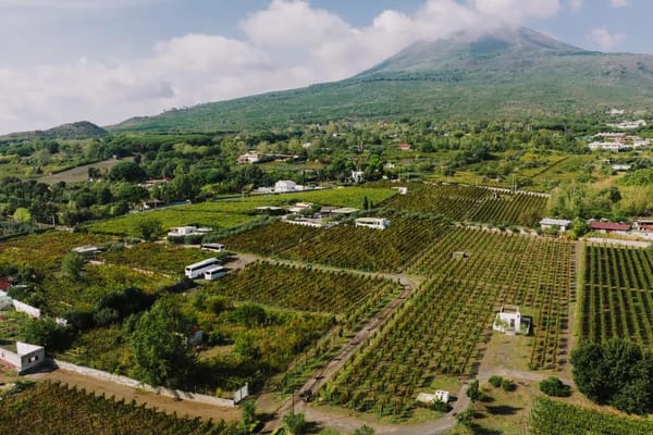 Ätna-Weinberge im September: Siziliens vulkanischer Norden abseits der Kreuzfahrtströme
